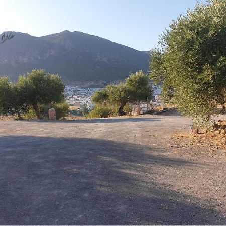 Villa El Mirador Algodonales Εξωτερικό φωτογραφία